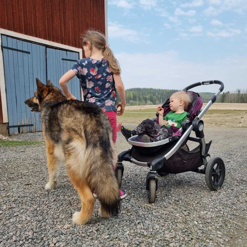 Tilapäivälippu, lapsi 3-17v.
