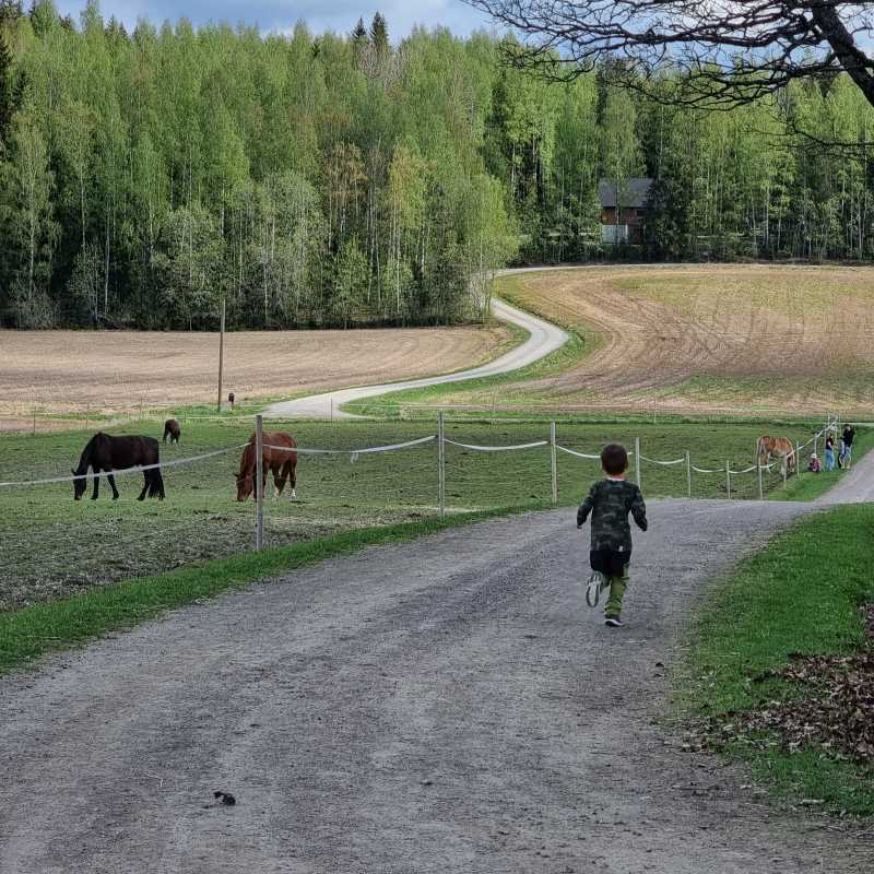 Tilapäivälippu, lapsi 3-17v.