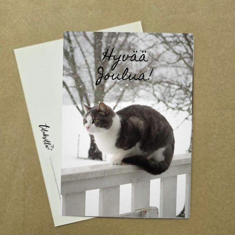 Hyvää joulua Milla