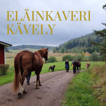 Tiluksilla eläinkaverikävely