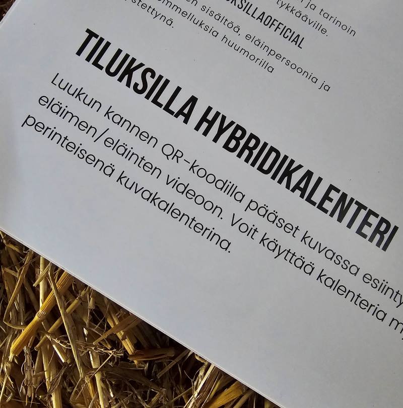 Joulukalenteri