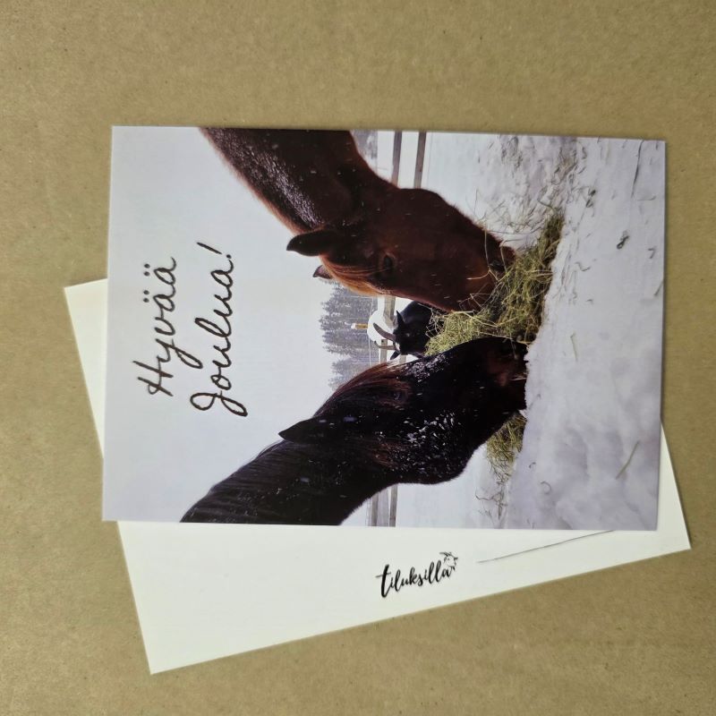 Hyvää joulua hevoset