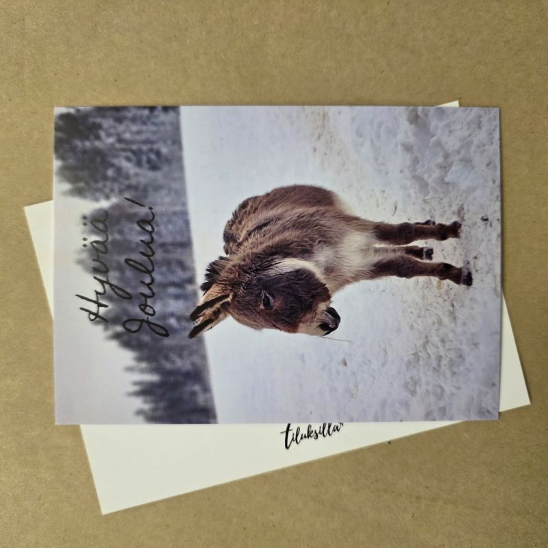 Hyvää joulua Napero