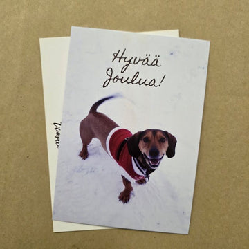 Hyvää joulua Pietu