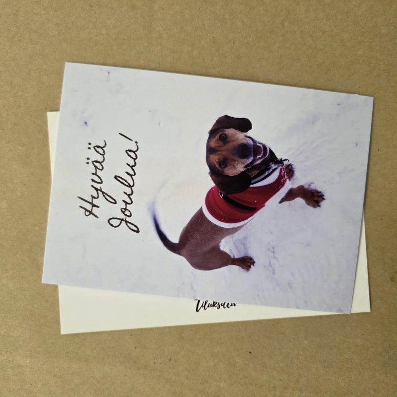 Hyvää joulua Pietu