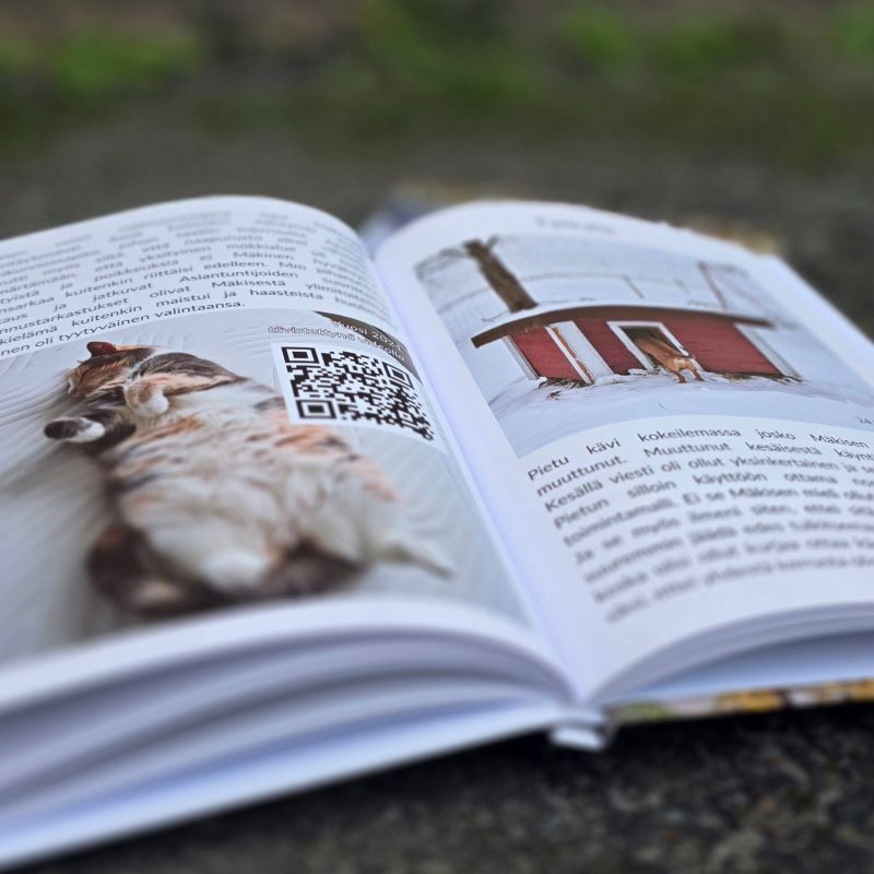 Mäkinen mökkikissan kokoinen tarina