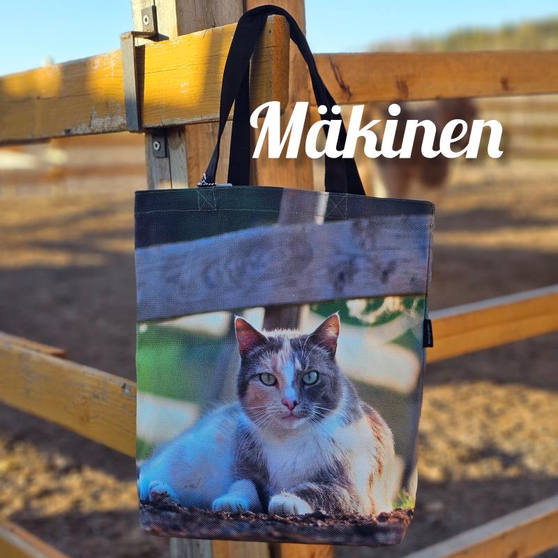 Vahinko Väsky