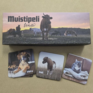 muistipeli