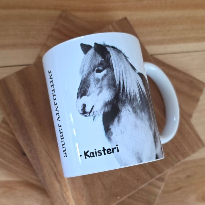 Muki Kaisteri