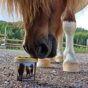 ponipoikien vanilja-suklaa fudge