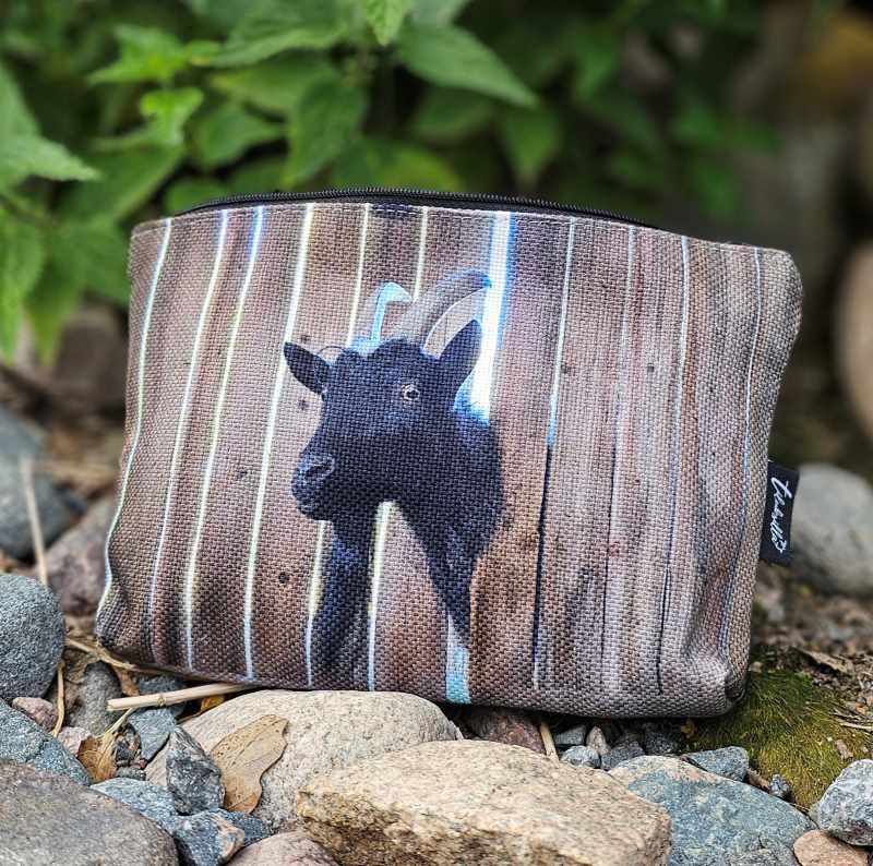 kässäkkä Roki
