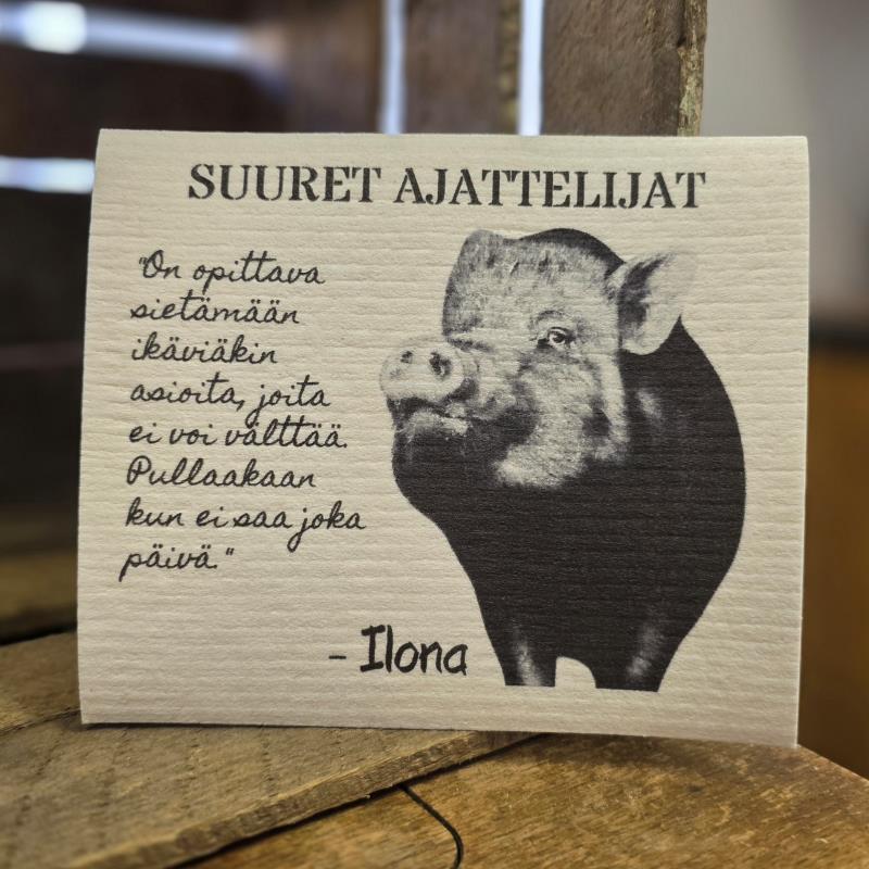 Tiskirätti Ilona