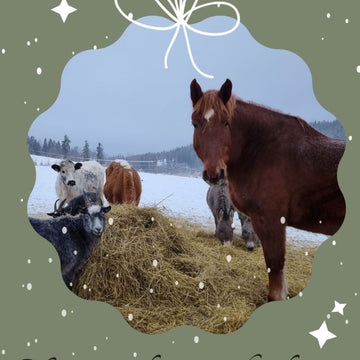 Hyvää joulua Derkunille