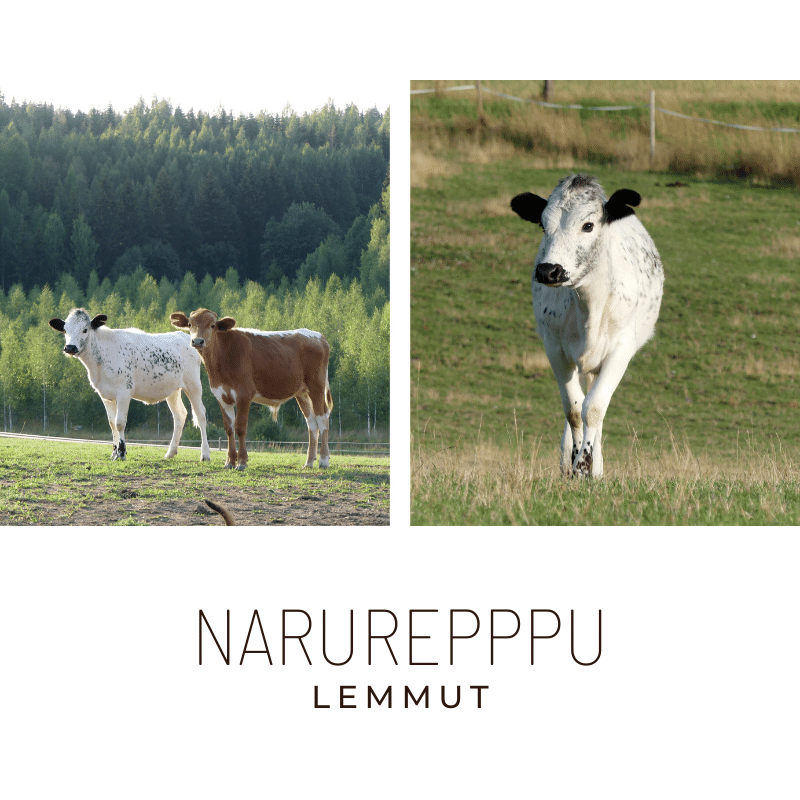Narureppu lemmut
