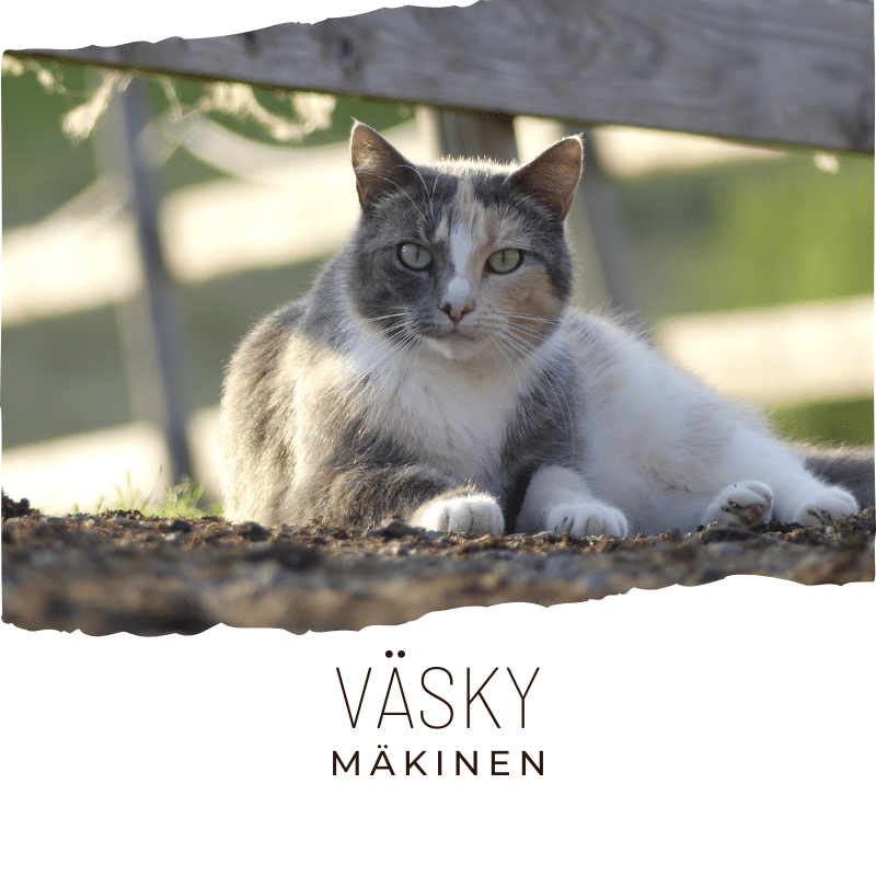 väsky mäkinen