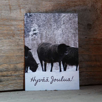 Hyvää joulua lampaat